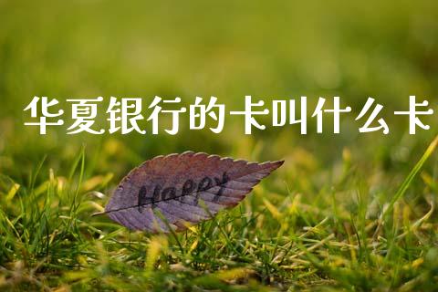 华夏银行的卡叫什么卡_https://cj002.lansai.wang_金融问答_第1张