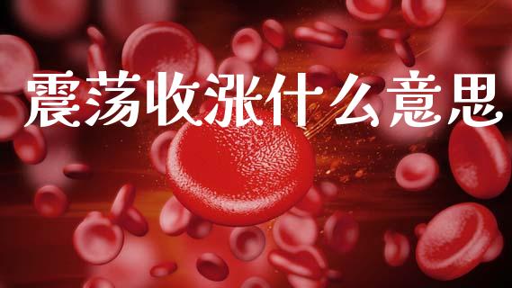 震荡收涨什么意思_股市问答_第1张_财经百问网 震荡收涨什么意思_https://cj002.lansai.wang_股市问答_第1张