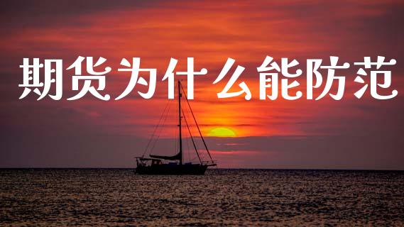 期货为什么能防范_https://cj002.lansai.wang_会计问答_第1张
