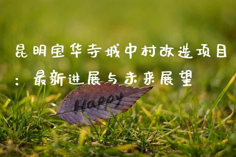 昆明宝华寺城中村改造项目：最新进展与未来展望_https://cj002.lansai.wang_财经百问_第1张