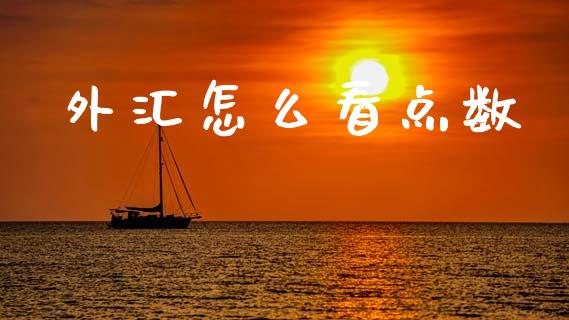 外汇怎么看点数_https://cj002.lansai.wang_财经问答_第1张