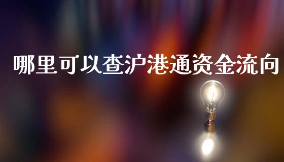 哪里可以查沪港通资金流向_https://cj002.lansai.wang_股市问答_第1张