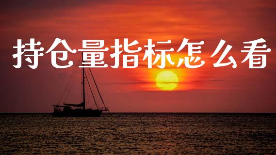 持仓量指标怎么看_https://cj002.lansai.wang_期货问答_第1张