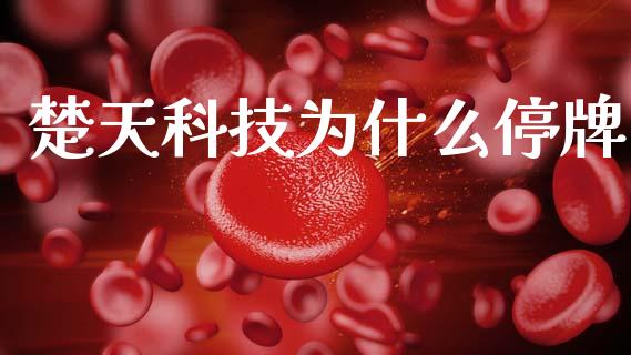楚天科技为什么停牌_https://cj002.lansai.wang_理财问答_第1张