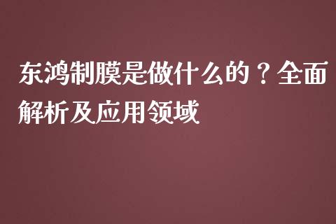 东鸿制膜是做什么的？全面解析及应用领域_https://cj002.lansai.wang_股市问答_第1张