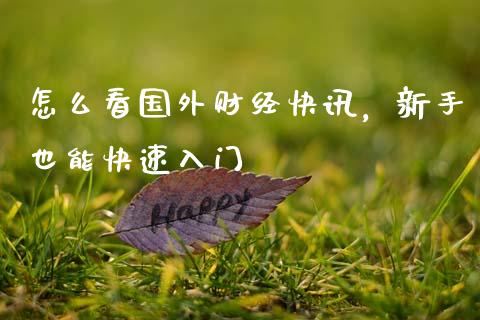 怎么看国外财经快讯,新手也能快速入门_财经百问_第1张_财经百问网 怎么看国外财经快讯,新手也能快速入门_https://cj002.lansai.wang_财经百问_第1张