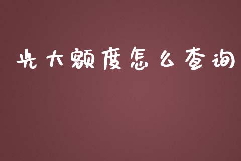 光大额度怎么查询_https://cj002.lansai.wang_金融问答_第1张