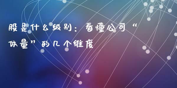 股是什么级别：看懂公司“体量”的几个维度_https://cj002.lansai.wang_金融问答_第1张