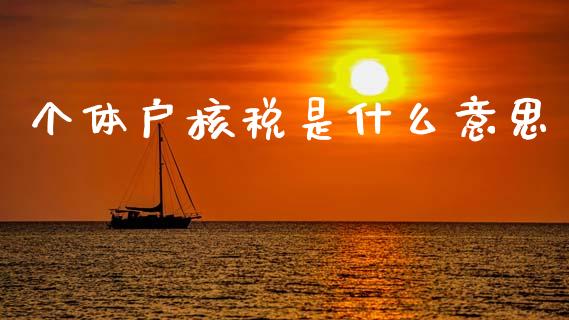 个体户核税是什么意思_https://cj002.lansai.wang_会计问答_第1张