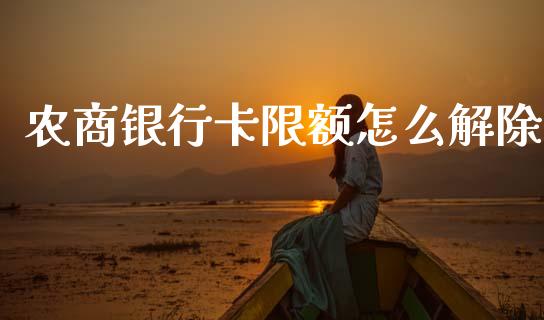 农商银行卡限额怎么解除_https://cj002.lansai.wang_金融问答_第1张