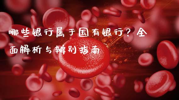 哪些银行属于国有银行？全面解析与辨别指南_https://cj002.lansai.wang_会计问答_第1张