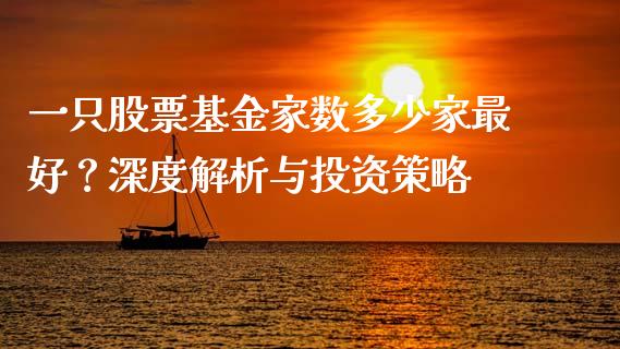 一只股票基金家数多少家最好？深度解析与投资策略_https://cj002.lansai.wang_保险问答_第1张