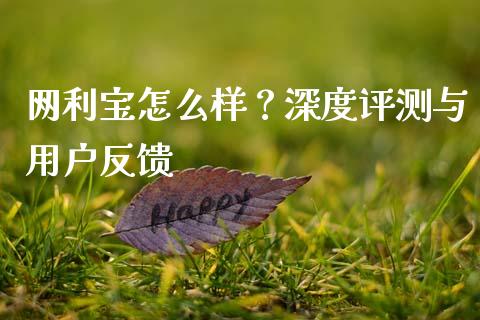 网利宝怎么样？深度评测与用户反馈_https://cj002.lansai.wang_股市问答_第1张