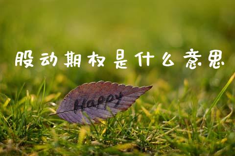 股动期权是什么意思_https://cj002.lansai.wang_财经问答_第1张