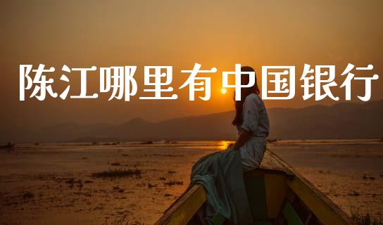 陈江哪里有中国银行_https://cj002.lansai.wang_理财问答_第1张