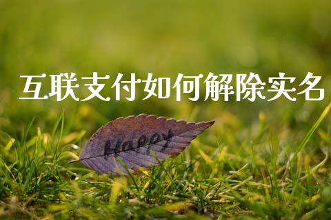 互联支付如何解除实名_https://cj002.lansai.wang_财经百问_第1张