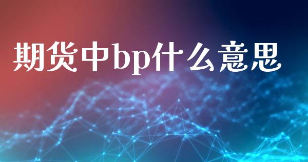 期货中bp什么意思_https://cj002.lansai.wang_财经百问_第1张