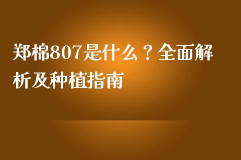 郑棉807是什么？全面解析及种植指南_https://cj002.lansai.wang_财经问答_第1张