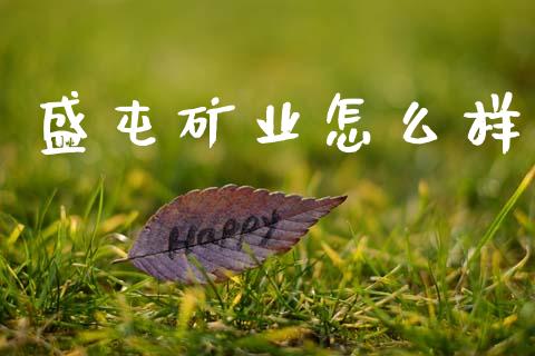 盛屯矿业怎么样_https://cj002.lansai.wang_财经百问_第1张