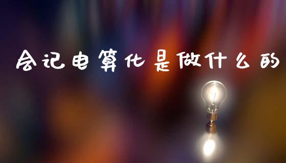 会记电算化是做什么的_https://cj002.lansai.wang_会计问答_第1张