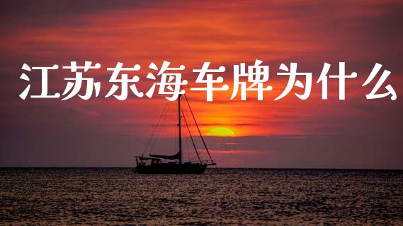 江苏东海车牌为什么_https://cj002.lansai.wang_理财问答_第1张