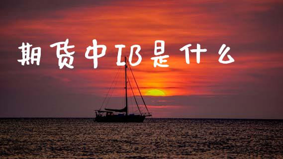 期货中IB是什么_会计问答_第1张_财经百问网 期货中IB是什么_https://cj002.lansai.wang_会计问答_第1张
