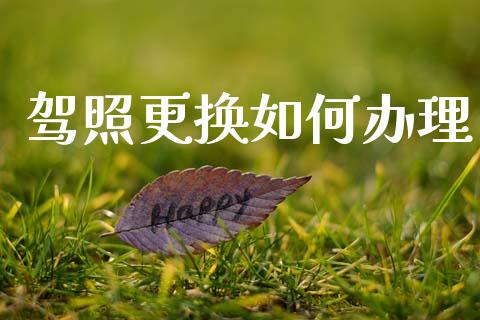 驾照更换如何办理_https://cj002.lansai.wang_保险问答_第1张