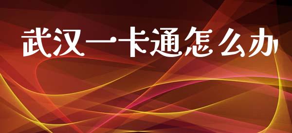 武汉一卡通怎么办_https://cj002.lansai.wang_金融问答_第1张