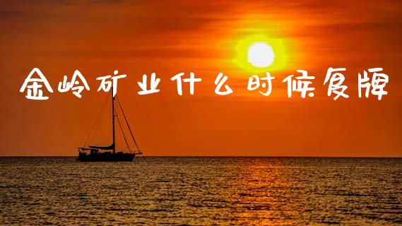 金岭矿业什么时候复牌_https://cj002.lansai.wang_股市问答_第1张
