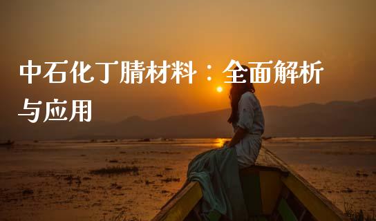 中石化丁腈材料：全面解析与应用_https://cj002.lansai.wang_期货问答_第1张