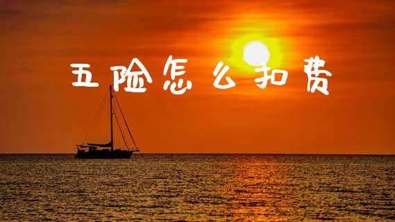 五险怎么扣费_https://cj002.lansai.wang_保险问答_第1张