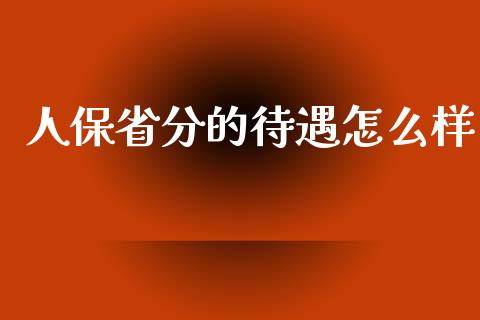 人保省分的待遇怎么样_https://cj002.lansai.wang_保险问答_第1张