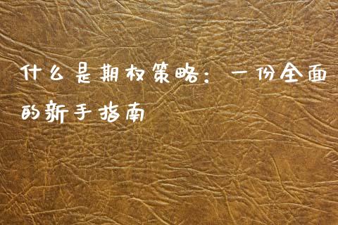 什么是期权策略：一份全面的新手指南_https://cj002.lansai.wang_期货问答_第1张