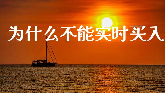 为什么不能实时买入_https://cj002.lansai.wang_股市问答_第1张