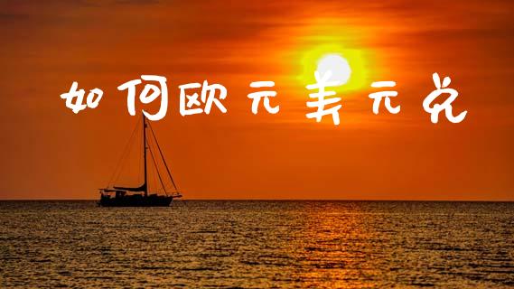 如何欧元美元兑_https://cj002.lansai.wang_财经问答_第1张