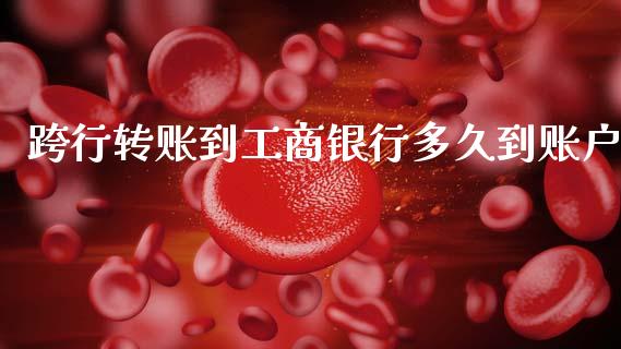 跨行转账到工商银行多久到账户_https://cj002.lansai.wang_理财问答_第1张