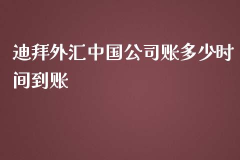 迪拜外汇中国公司账多少时间到账_https://cj002.lansai.wang_财经问答_第1张