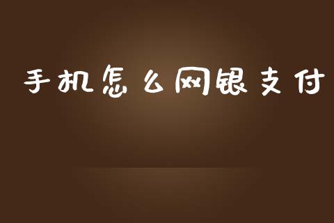 手机怎么网银支付_https://cj002.lansai.wang_金融问答_第1张