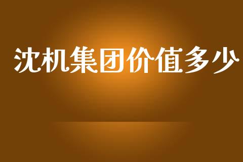沈机集团价值多少_https://cj002.lansai.wang_期货问答_第1张