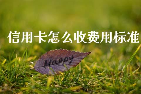 信用卡怎么收费用标准_https://cj002.lansai.wang_金融问答_第1张