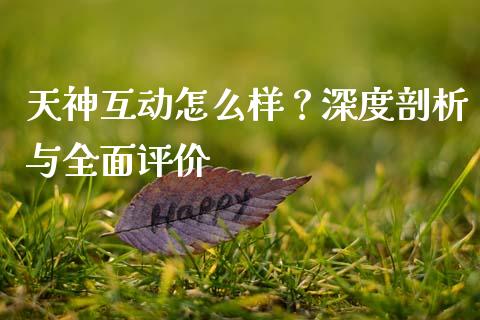 天神互动怎么样？深度剖析与全面评价_https://cj002.lansai.wang_理财问答_第1张