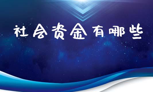 社会资金有哪些_https://cj002.lansai.wang_股市问答_第1张