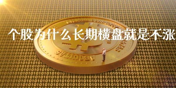 个股为什么长期横盘就是不涨_https://cj002.lansai.wang_金融问答_第1张