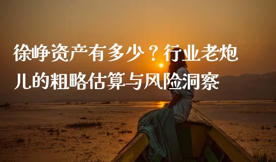 徐峥资产有多少？行业老炮儿的粗略估算与风险洞察_https://cj002.lansai.wang_会计问答_第1张
