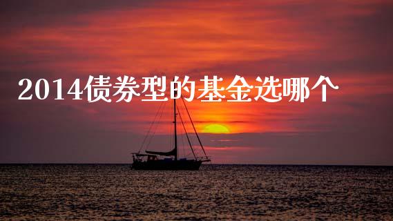 2014债券型的基金选哪个_https://cj002.lansai.wang_保险问答_第1张