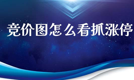 竞价图怎么看抓涨停_https://cj002.lansai.wang_财经百问_第1张
