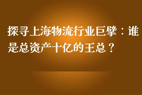 探寻上海物流行业巨擘：谁是总资产十亿的王总？_https://cj002.lansai.wang_期货问答_第1张