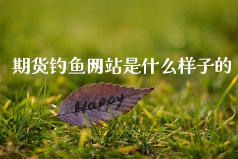 期货钓鱼网站是什么样子的_https://cj002.lansai.wang_期货问答_第1张
