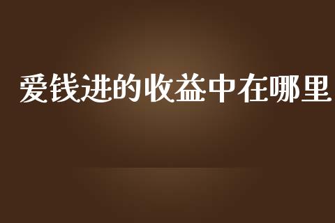 爱钱进的收益中在哪里_https://cj002.lansai.wang_理财问答_第1张