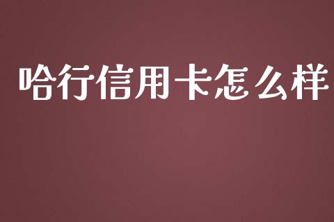 哈行信用卡怎么样_https://cj002.lansai.wang_理财问答_第1张
